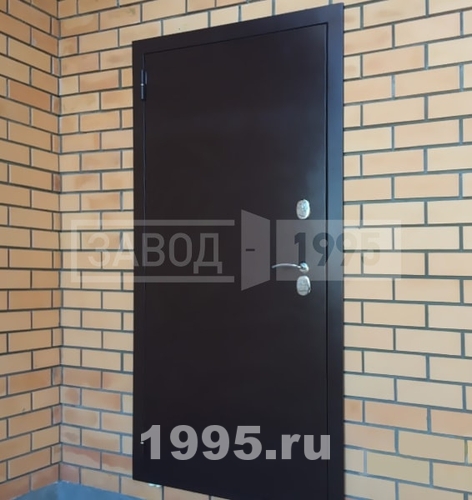 Дверь с порошковым окрашиванием в частном доме Дверь с порошковым окрашиванием в частном доме